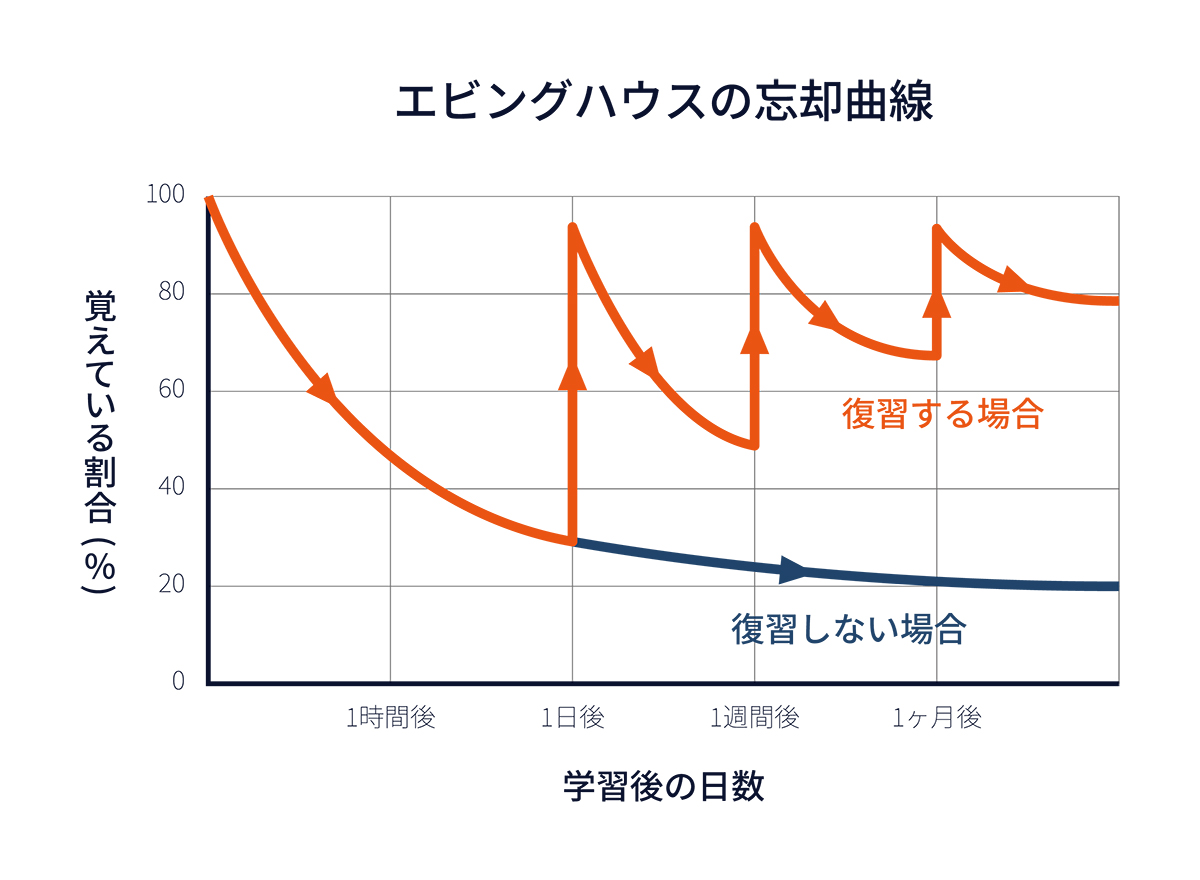 エビングハウスの忘却曲線